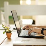 online, connection, laptop, plant, workstation, pot, work, table, workspace, technology, online, online, nature, online, online, online